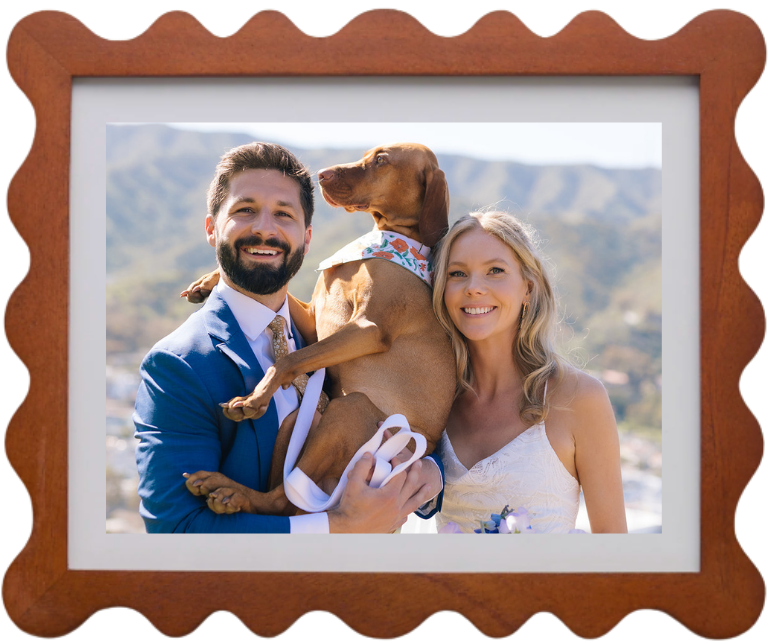 Carrah on her wedding day with her husband and vizsla, Catalina Island in the background