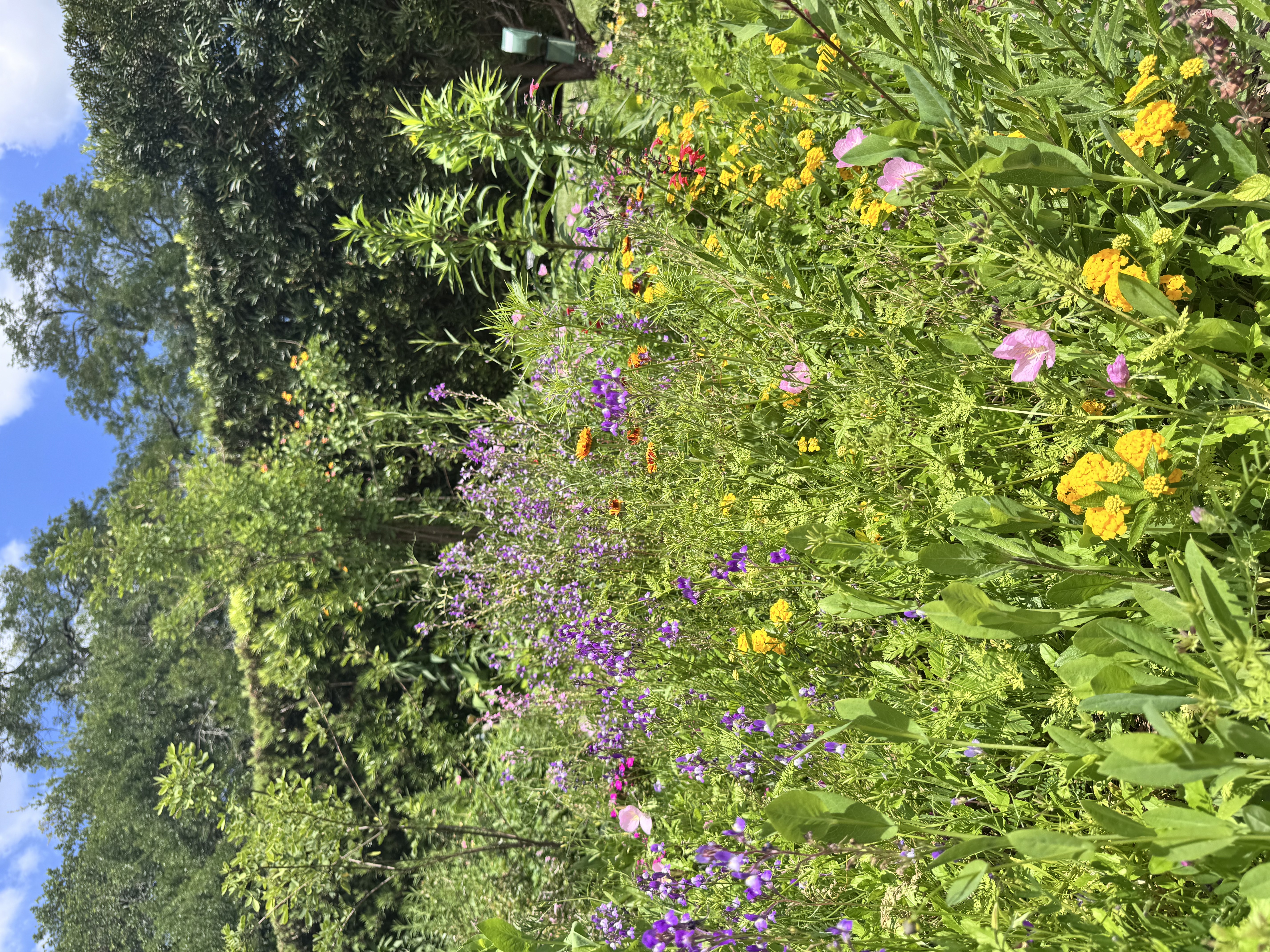 New Orleans Botanical Garden